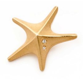 Colgante-Stella-estrella de mar